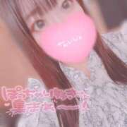 ヒメ日記 2025/07/12 08:42 投稿 ちさ セクシーキャット 小田原店