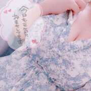 ヒメ日記 2025/07/29 10:20 投稿 ちさ セクシーキャット 小田原店