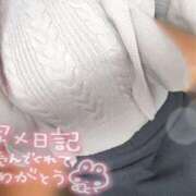 ヒメ日記 2025/11/05 10:21 投稿 ちさ セクシーキャット 小田原店