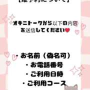 ヒメ日記 2025/11/14 09:48 投稿 ちさ セクシーキャット 小田原店