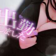 ヒメ日記 2025/12/02 12:29 投稿 ちさ セクシーキャット 小田原店