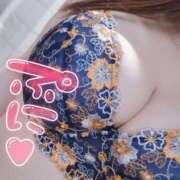 ちさ 本日16時40分まで(⁎ᴗ͈ˬᴗ͈⁎) セクシーキャット 小田原店