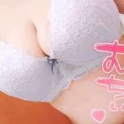 ヒメ日記 2026/01/01 23:01 投稿 ちさ セクシーキャット 小田原店