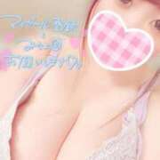 ヒメ日記 2026/01/16 10:30 投稿 ちさ セクシーキャット 小田原店