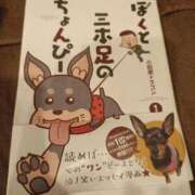 みやこ 📔 新宿プチドール