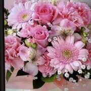 ヒメ日記 2026/04/24 08:04 投稿 大田 おふくろ