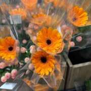 ヒメ日記 2026/06/15 07:59 投稿 大田 おふくろ