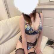 ヒメ日記 2024/12/16 15:46 投稿 七草せり 皇帝別館（こうていべっかん）