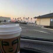 ヒメ日記 2025/01/11 16:26 投稿 七草せり 皇帝別館（こうていべっかん）