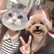 ヒメ日記 2025/05/13 17:49 投稿 七草せり 皇帝別館（こうていべっかん）