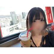 ヒメ日記 2025/03/26 18:04 投稿 リムル 石庭