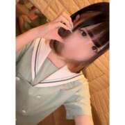 ヒメ日記 2025/03/29 12:20 投稿 リムル 石庭