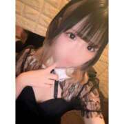 ヒメ日記 2025/03/31 10:21 投稿 リムル 石庭