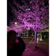 ヒメ日記 2025/04/06 12:20 投稿 リムル 石庭