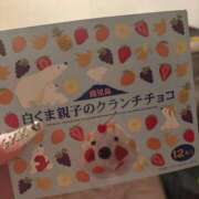 ヒメ日記 2025/04/07 23:20 投稿 リムル 石庭