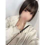 ヒメ日記 2025/04/21 18:20 投稿 リムル 石庭