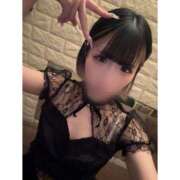 ヒメ日記 2025/04/22 13:20 投稿 リムル 石庭