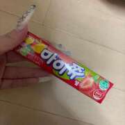 ヒメ日記 2025/04/23 01:50 投稿 リムル 石庭