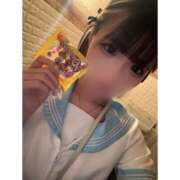 ヒメ日記 2025/04/25 18:01 投稿 リムル 石庭