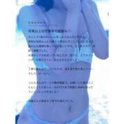 ヒメ日記 2025/04/29 08:20 投稿 リムル 石庭