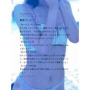 ヒメ日記 2025/04/29 08:34 投稿 リムル 石庭