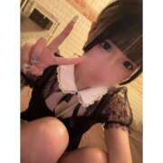 ヒメ日記 2025/07/17 01:04 投稿 リムル 石庭