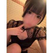 ヒメ日記 2025/07/23 02:00 投稿 リムル 石庭