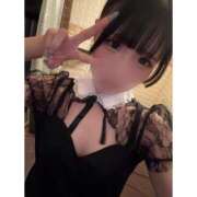 ヒメ日記 2025/07/24 10:00 投稿 リムル 石庭