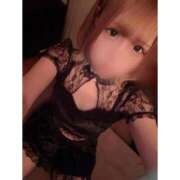 ヒメ日記 2025/10/06 14:30 投稿 リムル 石庭