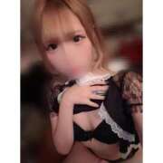 ヒメ日記 2025/10/10 18:20 投稿 リムル 石庭