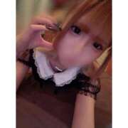 ヒメ日記 2025/10/11 01:35 投稿 リムル 石庭