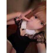 ヒメ日記 2025/10/15 10:42 投稿 リムル 石庭