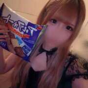 ヒメ日記 2025/10/31 13:30 投稿 リムル 石庭