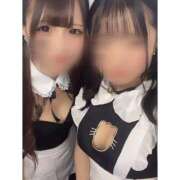 ヒメ日記 2025/10/31 15:40 投稿 リムル 石庭