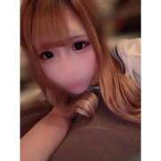 ヒメ日記 2025/11/03 11:50 投稿 リムル 石庭