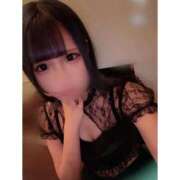 ヒメ日記 2025/11/14 11:50 投稿 リムル 石庭