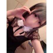 ヒメ日記 2025/11/24 11:50 投稿 リムル 石庭