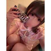 ヒメ日記 2025/11/25 14:20 投稿 リムル 石庭