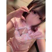 ヒメ日記 2025/11/26 11:50 投稿 リムル 石庭