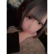 ヒメ日記 2025/11/27 14:20 投稿 リムル 石庭