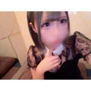 ヒメ日記 2025/11/28 02:00 投稿 リムル 石庭