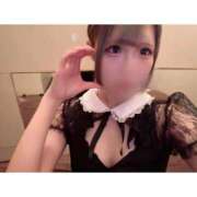 ヒメ日記 2025/12/04 13:50 投稿 リムル 石庭