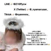 ヒメ日記 2025/12/04 18:20 投稿 リムル 石庭