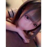 ヒメ日記 2025/12/08 11:50 投稿 リムル 石庭