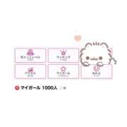 ヒメ日記 2025/12/18 15:30 投稿 リムル 石庭