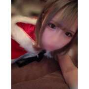 ヒメ日記 2025/12/23 11:50 投稿 リムル 石庭