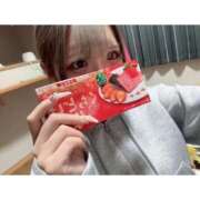 ヒメ日記 2025/12/24 01:50 投稿 リムル 石庭