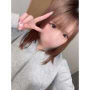 ヒメ日記 2026/02/14 11:54 投稿 リムル 石庭