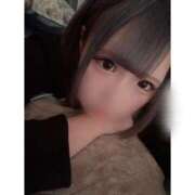 ヒメ日記 2026/02/17 09:20 投稿 リムル 石庭