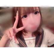 ヒメ日記 2026/03/15 09:20 投稿 リムル 石庭